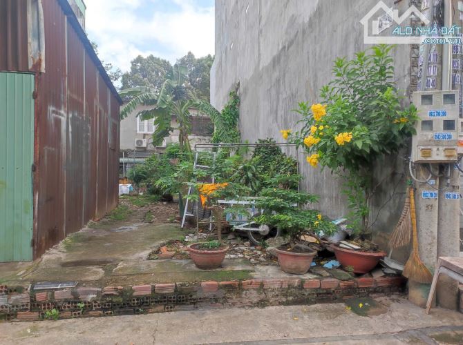 Bán đất cạnh trường An Hảo, P. An Bình. Gần ngã 3 Vũng tàu - 2