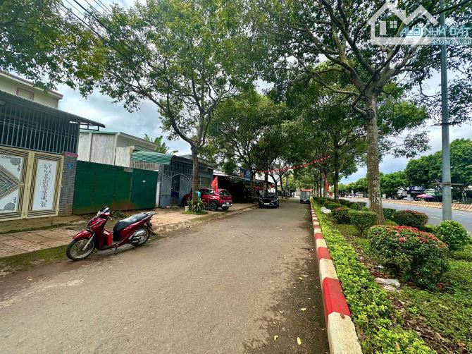 BÁN ĐẤT MẶT TIỀN PHẠM VĂN ĐỒNG, P. TÂN LẬP (TÂN HÒA CŨ) - 2