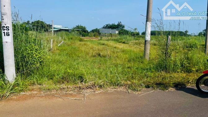 BÁN 531M2(13×42) MẶT TIỀN ĐƯỜNG NHỰA XÃ ĐẤT ĐỎ - TP HCM.TIỆN ÍCH XUNG QUANH GIÁ SIÊU RẺ - 2