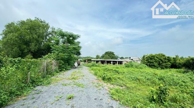 🏞️ BRVT Phước Hội 2588m², cách biển 3km, đất ở 100m², giá chỉ 1.3 tỷ/sào, đầu tư siêu - 2