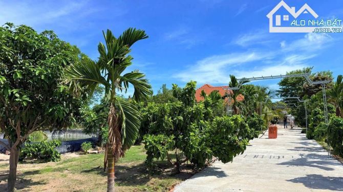 🌟 SIÊU ĐẸP Xã Phước Hải – 1000m², cách biển chỉ 3km, view núi Minh Đạm 🌊 - 2