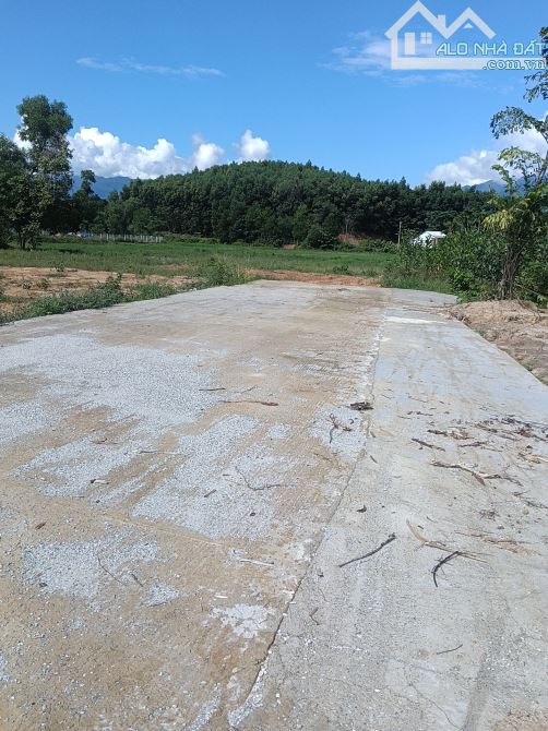 500 mét vuông ngang 20 m có 120 m² đất ở Hòa Vang - 2