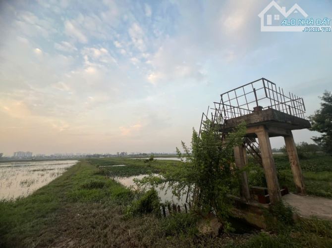 Bán đất nông nghiệp tại Xã Tả Thanh Oai (xã Đại Thanh mới), 896m2 - 2