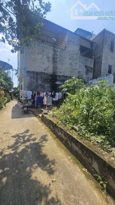 🏡 BÁN ĐẤT ĐẸP TẠI NGŨ HIỆP – THANH TRÌ – GIÁ CHỈ 4.7 TỶ 🌳 - 2