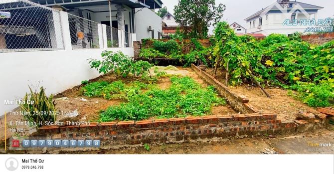 Nhỉnh 1 tỷ có ngay 80m2 đất Tân Minh- Sóc Sơn- MT gần 6m-oto đỗ cửa. - 2