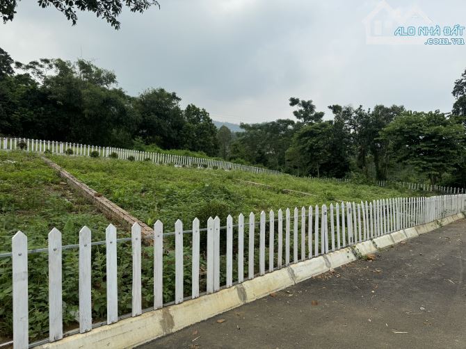Cần bán đất 317m 1.75tỷ mặt tiền đẹp như Sapa - Liên Sơn, Lương Sơn, Hoà Bình - 4