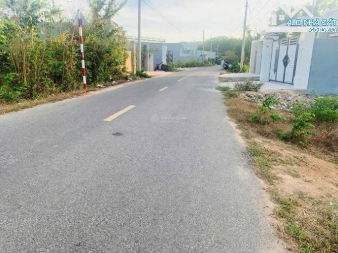 🌴 Bán gấp lô đất 159m² (100m² thổ cư) trung tâm Phước Hải – giá chỉ 900 triệu - 3