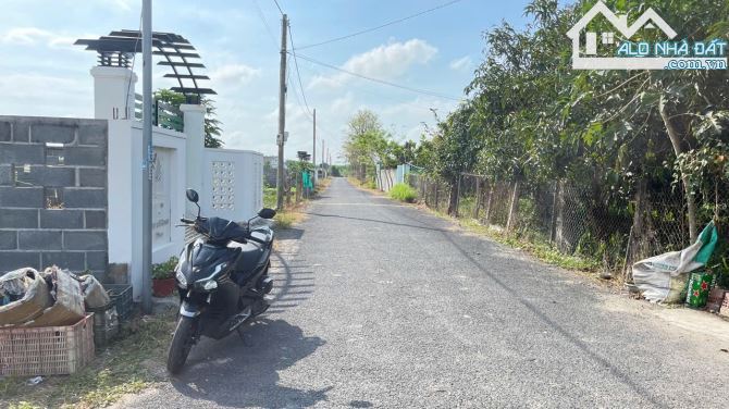 🏡 Bán lô đất Phước Hải – Đất Đỏ BRVT, 5,3x26m, 100% thổ cư, view núi Minh Đạm 🌿 - 3