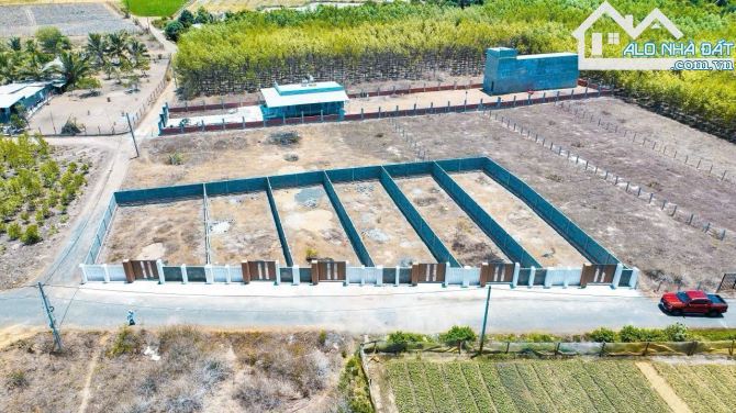🌟 Bán gấp 2 lô đất sổ riêng TT Phước Hải – DT 216,7m² & 253m², cách biển 5 phút ⛱️ - 3