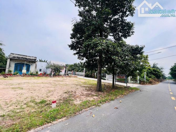 🌿 Siêu phẩm đất Phước Hải – 230m², nở hậu 11m, full tiện ích, giá chỉ 1,95 tỷ 🌊 - 3