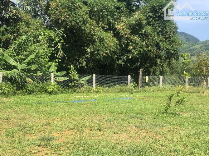 Bán Đất 5500m2 View Suối Nam Đông Huế, Gần Chợ, Trường, Kề Dự Án Sân Golf, Giá Tốt 1,x Tỷ - 3