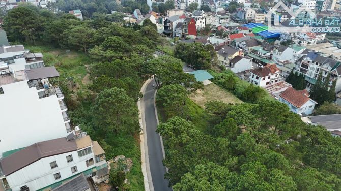 ĐẤT ĐẸP TIỆN NGHỈ DƯỠNG KINH DOANH LƯU TRÚ DU LỊCH LÝ NAM ĐẾ ĐÀ LẠT - 3