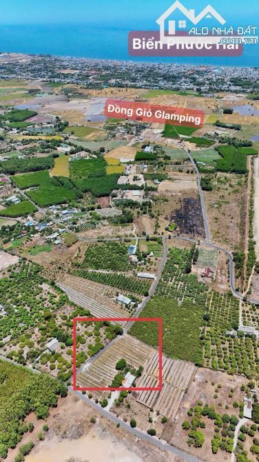 🏡 Bán đất TT Phước Hải – 274m², view núi, gần Hồ Sở Bông & Lan Rừng Resort, giá 2,15 tỷ - 3