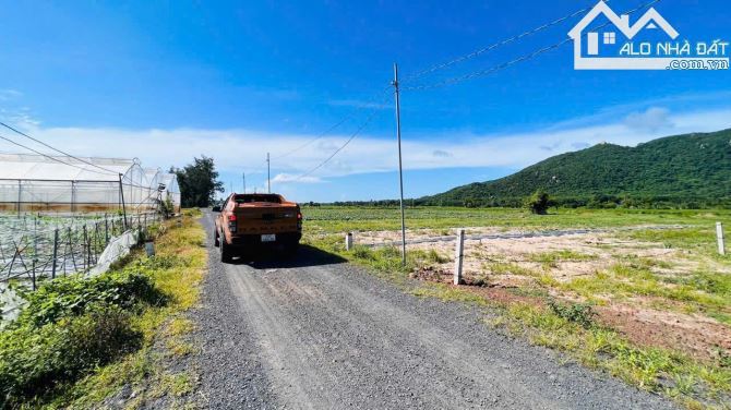 🌿 Bán đất Phước Hải 802m² view núi, gần biển & Glamping – giá 2.7 tỷ 🌊 - 3