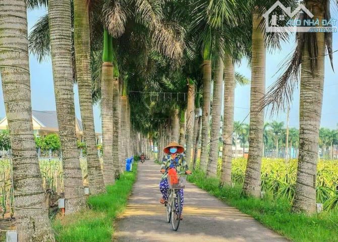 Hàng Vip, 150m2 đất thổ cư 5x 30m đường hàng cau vua, 380tr - 3