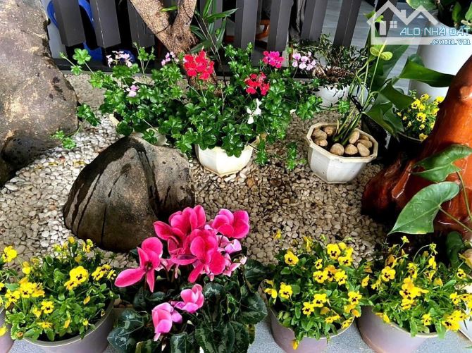 🏡Cần Bán Villa/Biệt Thự Hẻm Xe Hơi Đường Nguyễn Hữu Cảnh, P.08, Đà Lạt –  View Đồi Đẹp - 3