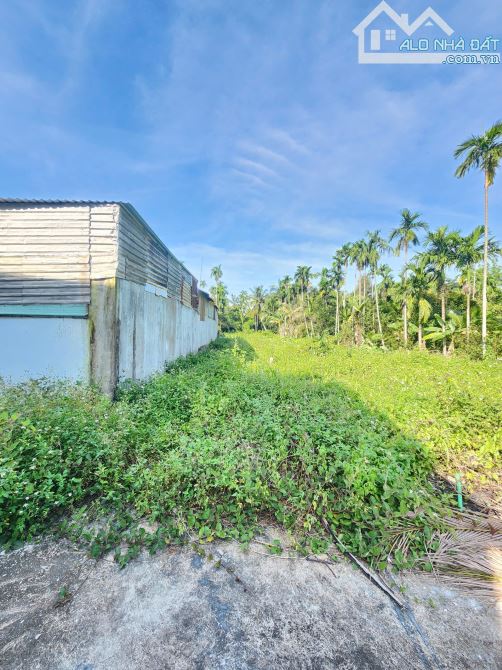 1,5Tỷ TL🔥Bán đất 70m2 cách đường Bế Văn Đàn 50m, P.Bình Nhâm, Tp.Thuận An - 3