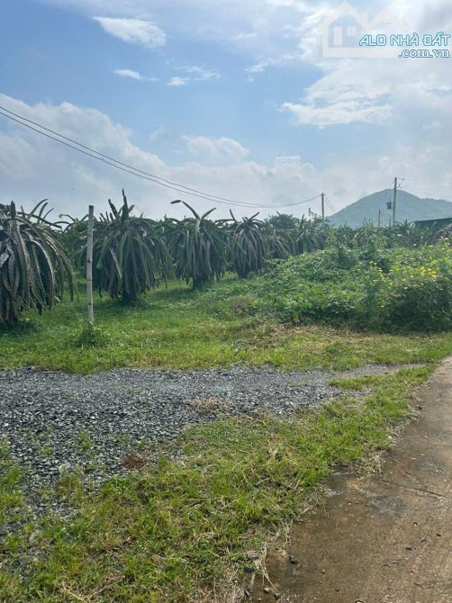 Bán Đất 2.85 Hecta 2 Mặt Tiền View Hồ Núi Đất, Tân Tiến, La Gi - 3