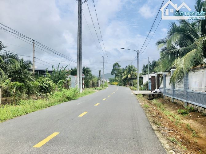 🌴 Đất Biển Phước Hải 500m² – Ngang 10m, vườn dừa, chỉ 5 phút ra biển 🌊 Giá 2.6 tỷ - 3