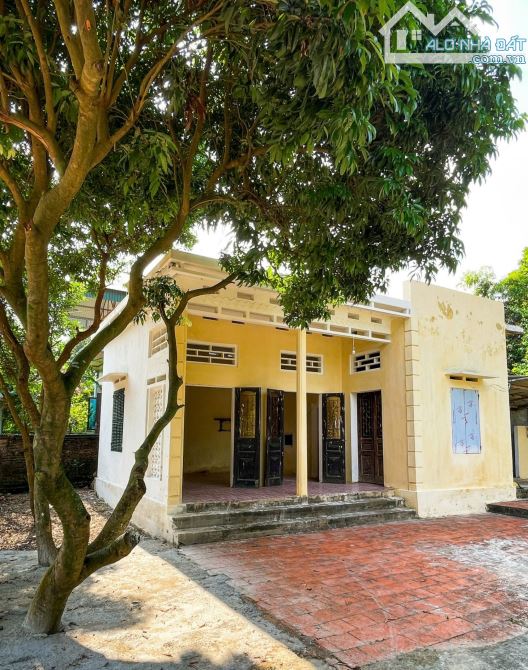 Mua đất tặng nhà C4 250M_100M đất ở bám trục chính liên thôn ô tô vào tận đất_Ba Vì - 3