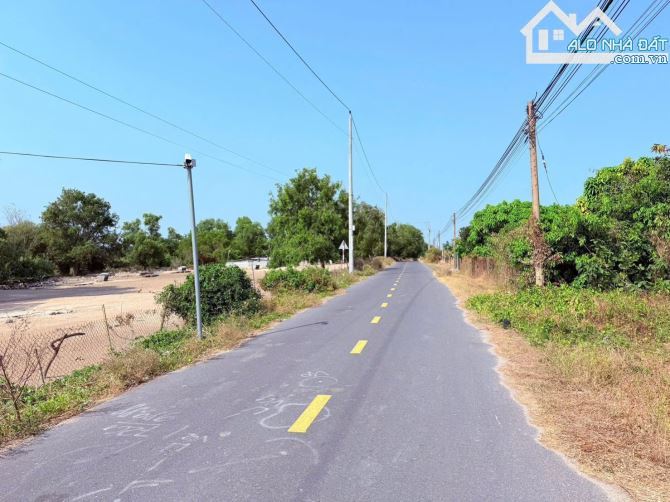 🌿 3 lô vườn xoài Phước Hải 556–610m² – View núi Minh Đạm, gần biển, giá chỉ từ 2.5 tỷ 🌴 - 3