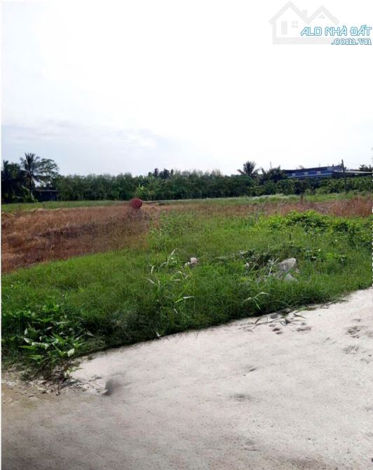 Bán  nhanh lô đất Long Hoà _ Cần Đước _ Long An 130m2 Full thổ giá 1 tỷ 050 triệu, SHR - 3