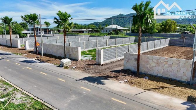 🌿 Lô đất 296,7m² xã Phước Hải – 80m² thổ cư, view núi Minh Đạm, gần biển chỉ 4km 🏖️ - 3