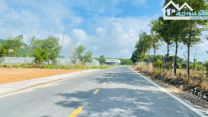 🏞️ Bán đất mặt tiền đường Phước Hưng – Phước Hải, view núi Minh Đạm, cách biển Lan Rừng 3 - 3