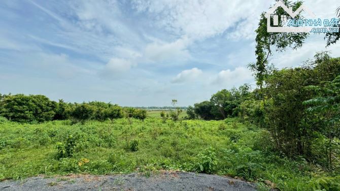 🏞️ BRVT Phước Hội 2588m², cách biển 3km, đất ở 100m², giá chỉ 1.3 tỷ/sào, đầu tư siêu - 3