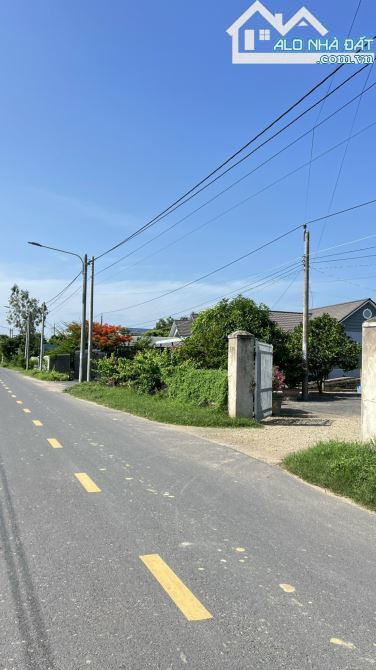 🌅 Bán Đất Nghỉ Dưỡng Long Mỹ - TT Phước Hải BRVT | 910m², View Núi & Hồ Bút Thiền 🌳 - 3