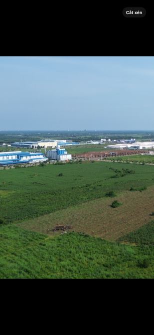 Bán Đất 3 lô liền kề Xây nhà trọ ngay cổng sau khu công nghiệp Đất Đỏ -Xã Đất Đỏ-Thành Phố - 3