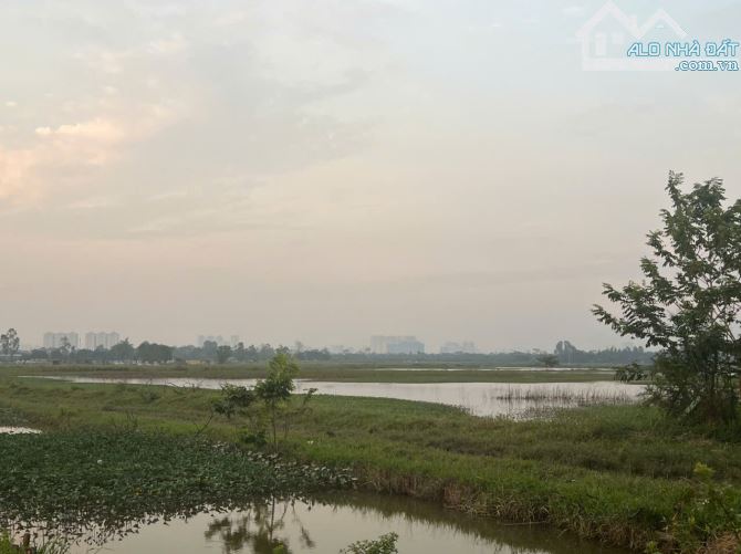 Bán đất nông nghiệp tại Xã Tả Thanh Oai (xã Đại Thanh mới), 896m2 - 3