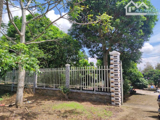 Bán hơn 6 công đất vườn sầu riêng đã cho trái có thổ cư - 3