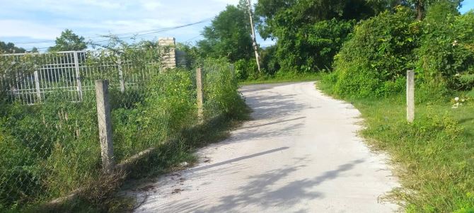 ĐẤT TRANG TRẠI ĐÔNG MINH, ĐÔNG SƠN, THANH HÓA -1,3HA – CHỈ 6 TỶ - 4
