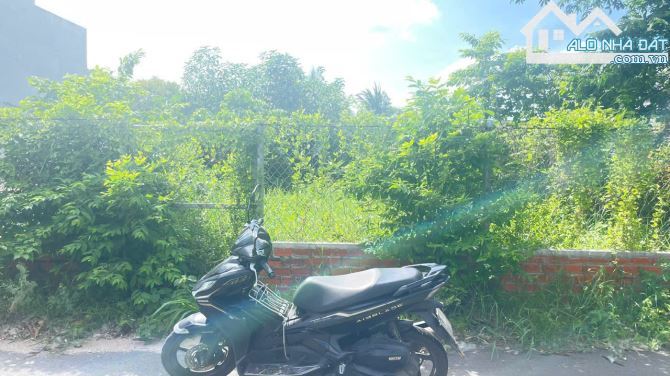 🏡Bán đất đẹp Phước Hội – Xã Phước Hải mới, BRVT, 153m², thổ cư 100%, gần biển 🌊 - 4