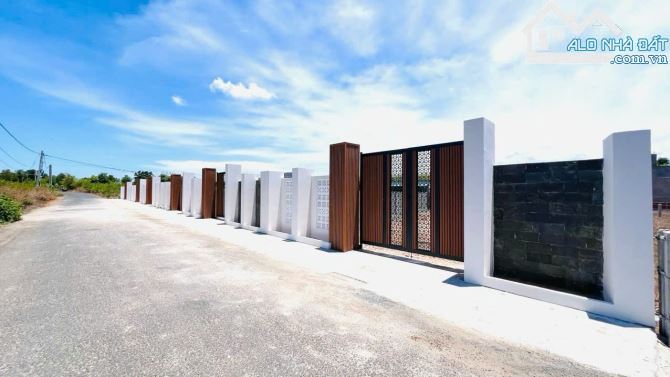 🌟 Bán gấp 2 lô đất sổ riêng TT Phước Hải – DT 216,7m² & 253m², cách biển 5 phút ⛱️ - 4