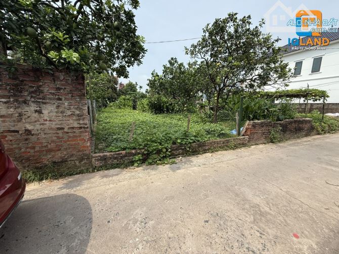 108m2 Tráng Việt-Mê Linh-Hà Nội giá siêu rẻ - 4