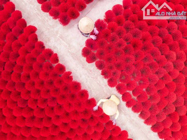 💥 SIÊU PHẨM GÓC 2 MẶT TIỀN AN THƯỢNG, S123m², NGANG 7.4m, GIÁ 41.5 TỶ - 3