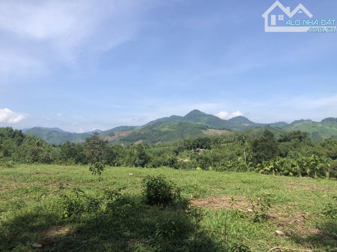 Bán Đất 5500m2 View Suối Nam Đông Huế, Gần Chợ, Trường, Kề Dự Án Sân Golf, Giá Tốt 1,x Tỷ - 4
