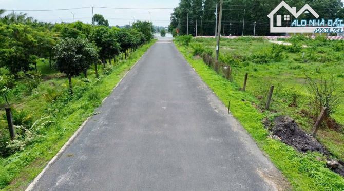 🌴 Hướng Đông Nam – Biển Phước Hải – Đất 600m² full thổ cư, vườn dừa, giá 2,5 tỷ 🌊 - 4