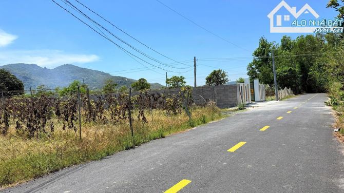 🏡 Bán đất TT Phước Hải – 274m², view núi, gần Hồ Sở Bông & Lan Rừng Resort, giá 2,15 tỷ - 4