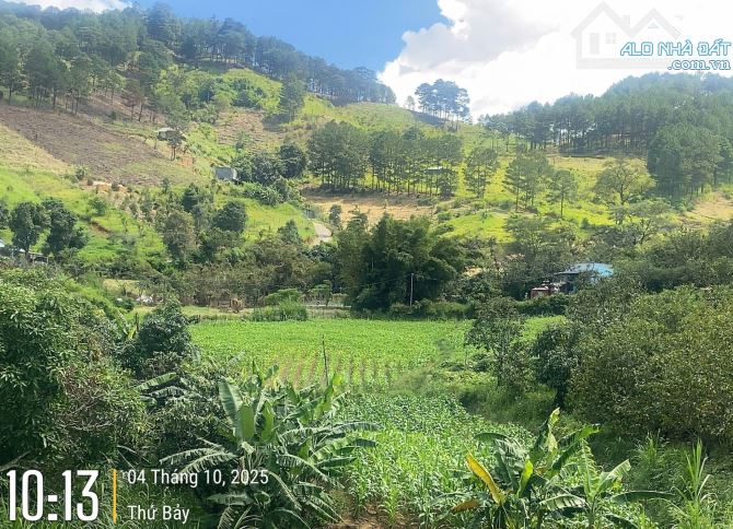 Bán lô đất tại chân đèo Pren, Hiệp An, Đức Trọng, Lâm Đồng, 21,5 tỷ, 6800 m2, view đẹp. - 4