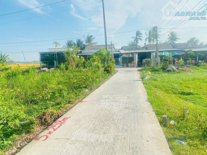 Hàng Vip, 150m2 đất thổ cư 5x 30m đường hàng cau vua, 380tr - 4