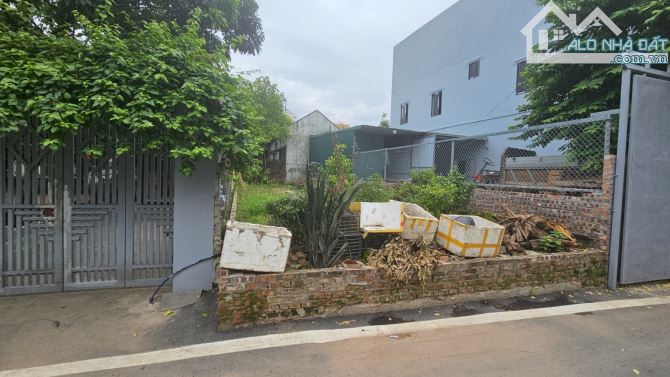 🌳 Bán 87m² đất Thọ Xuân – Đan Phượng, đường to, thông tứ phía, ô tô đỗ cửa! 🌳 - 4