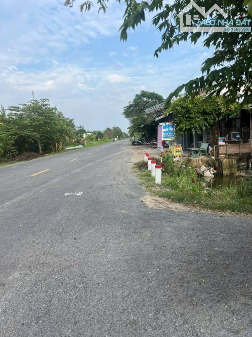 Bán 6500m2 đất vườn dừa đường oto gần 883 mới - 4