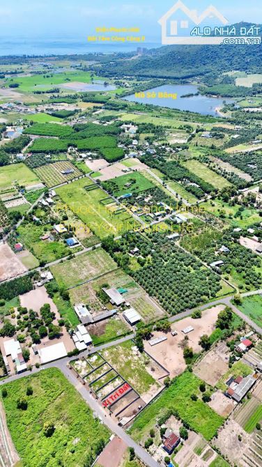 🌿 Lô đất 296,7m² xã Phước Hải – 80m² thổ cư, view núi Minh Đạm, gần biển chỉ 4km 🏖️ - 4