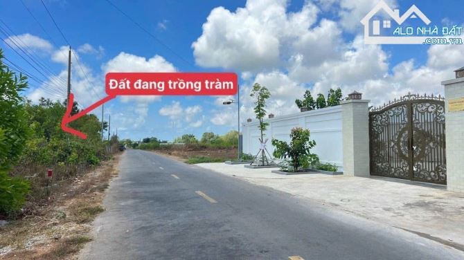 🏡 Đất nhà vườn 998m², thổ cư 200m², mặt tiền Nguyễn Huệ, Đất Đỏ BRVT, cách biển 10p, 3.5 - 4
