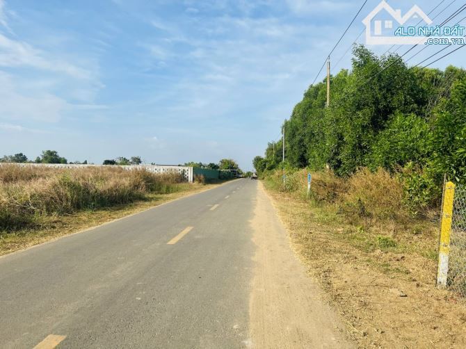 🏡 BRVT đất vườn 998m², 2 mặt tiền Nguyễn Huệ, gần KCN Đất Đỏ, cách biển Phước Hải 10 phút - 4