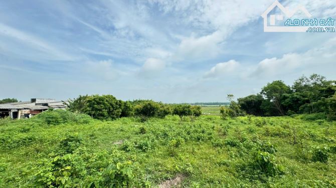 🏞️ BRVT Phước Hội 2588m², cách biển 3km, đất ở 100m², giá chỉ 1.3 tỷ/sào, đầu tư siêu - 4