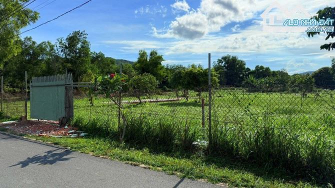 🏡 Phước Hải gần biển, đất 1170m² hướng Đông Nam, đường nhựa, giá 3.5 tỷ, tăng giá tốt - 4